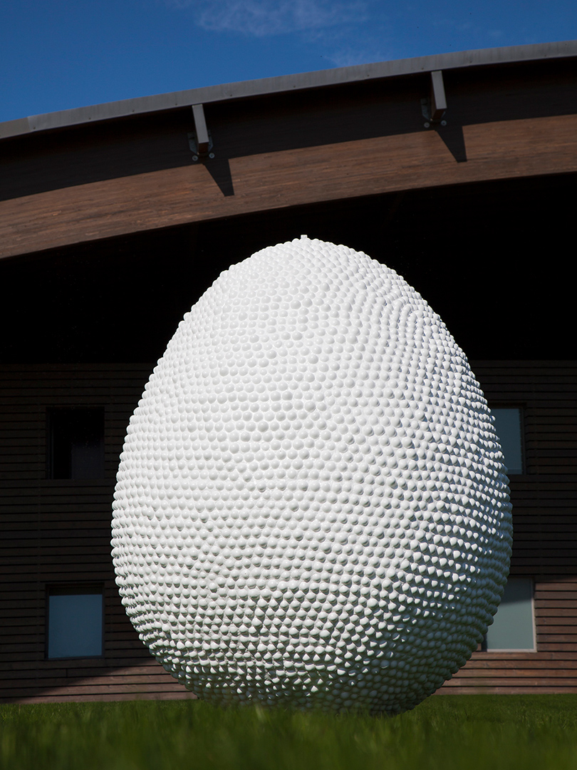 Egg Concept